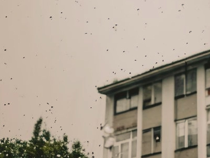 無法自拔